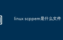 linux scppem是什么文件