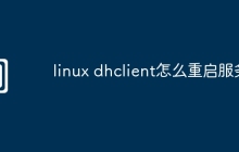 linux dhclient怎么重启服务