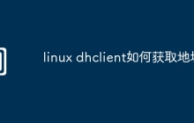 linux dhclient如何获取地址