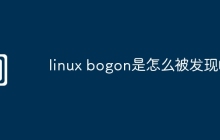 linux bogon是怎么被发现的