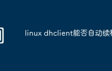 linux dhclient能否自动续租