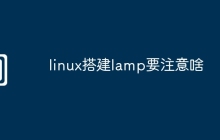 linux搭建lamp要注意啥