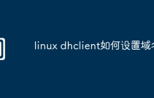 linux dhclient如何设置域名