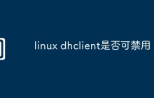 linux dhclient是否可禁用