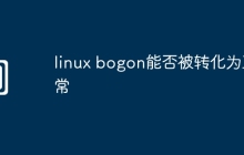 linux bogon能否被转化为正常