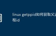 linux getppid如何获取父进程id