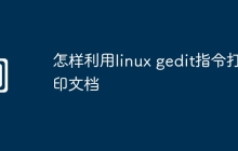 怎样利用linux gedit指令打印文档