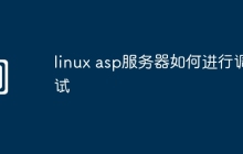 linux asp服务器如何进行调试
