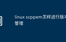 linux scppem怎样进行版本管理
