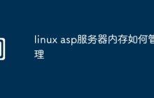 linux asp服务器内存如何管理