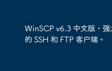 WinSCP v6.3 中文版，强大的 SSH 和 FTP 客户端。