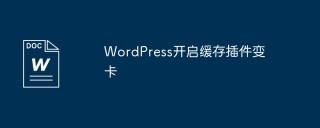 WordPress开启缓存插件变卡