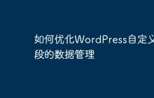 如何优化WordPress自定义字段的数据管理