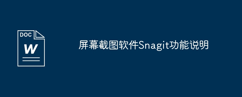 屏幕截图软件snagit功能说明