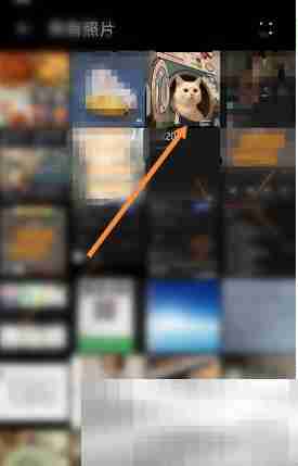 《小红书》live图保存方法