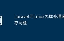 Laravel于Linux怎样处理缓存问题