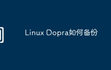 Linux Dopra如何备份