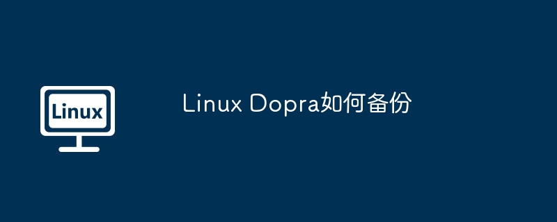 Linux Dopra如何備份 - 小浪云數據