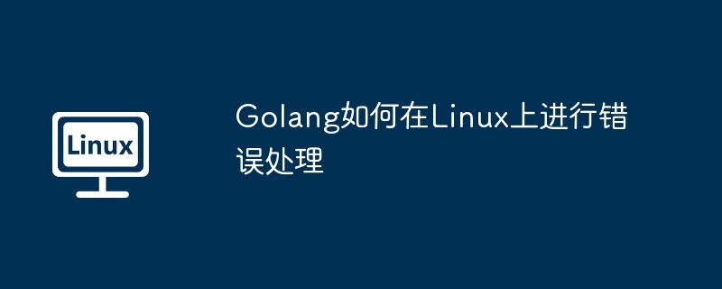 Golang如何在Linux上進行錯誤處理 - 小浪云數據