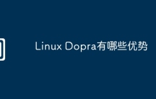 Linux Dopra有哪些优势