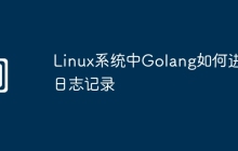 Linux系统中Golang如何进行日志记录