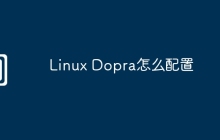 Linux Dopra怎么配置