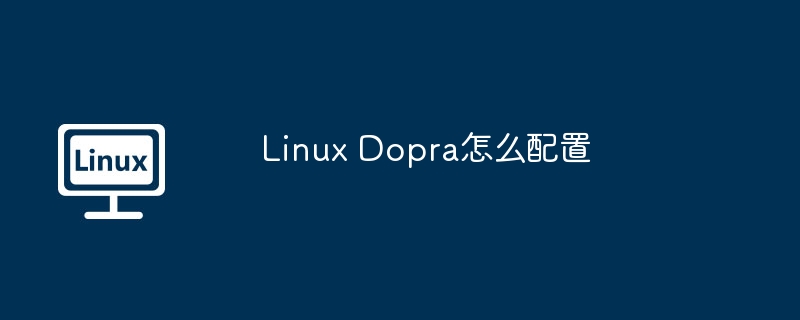 Linux Dopra怎么配置 - 小浪云數據