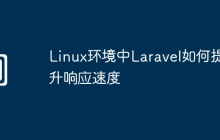 Linux环境中Laravel如何提升响应速度