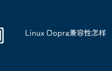 Linux Dopra兼容性怎样