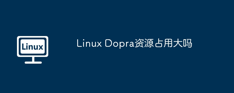 Linux Dopra資源占用大嗎