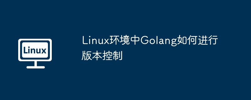 Linux環(huán)境中Golang如何進行版本控制