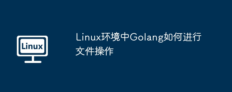 Linux環(huán)境中Golang如何進(jìn)行文件操作 - 小浪云數(shù)據(jù)