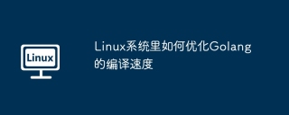Linux系统里如何优化Golang的编译速度