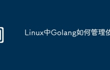 Linux中Golang如何管理依赖