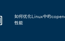 如何优化Linux中的copendir性能