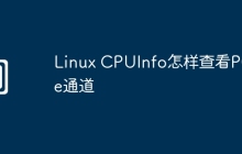 Linux CPUInfo怎样查看PCIe通道