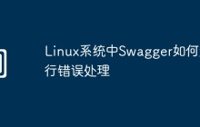 Linux系统中Swagger如何进行错误处理
