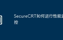 SecureCRT如何进行性能监控