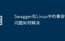 Swagger在Linux中的兼容性问题如何解决