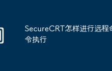 SecureCRT怎样进行远程命令执行