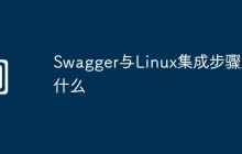 Swagger与Linux集成步骤是什么