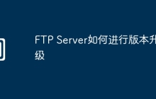 FTP Server如何进行版本升级