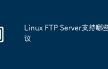Linux FTP Server支持哪些协议