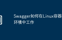 Swagger如何在Linux容器化环境中工作