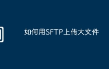 如何用SFTP上传大文件