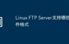 Linux FTP Server支持哪些文件格式