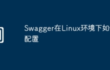 Swagger在Linux环境下如何配置