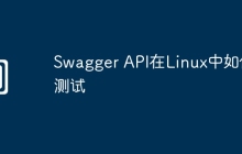 Swagger API在Linux中如何测试