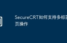 SecureCRT如何支持多标签页操作