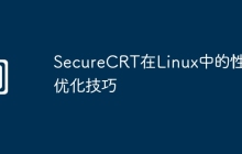 SecureCRT在Linux中的性能优化技巧